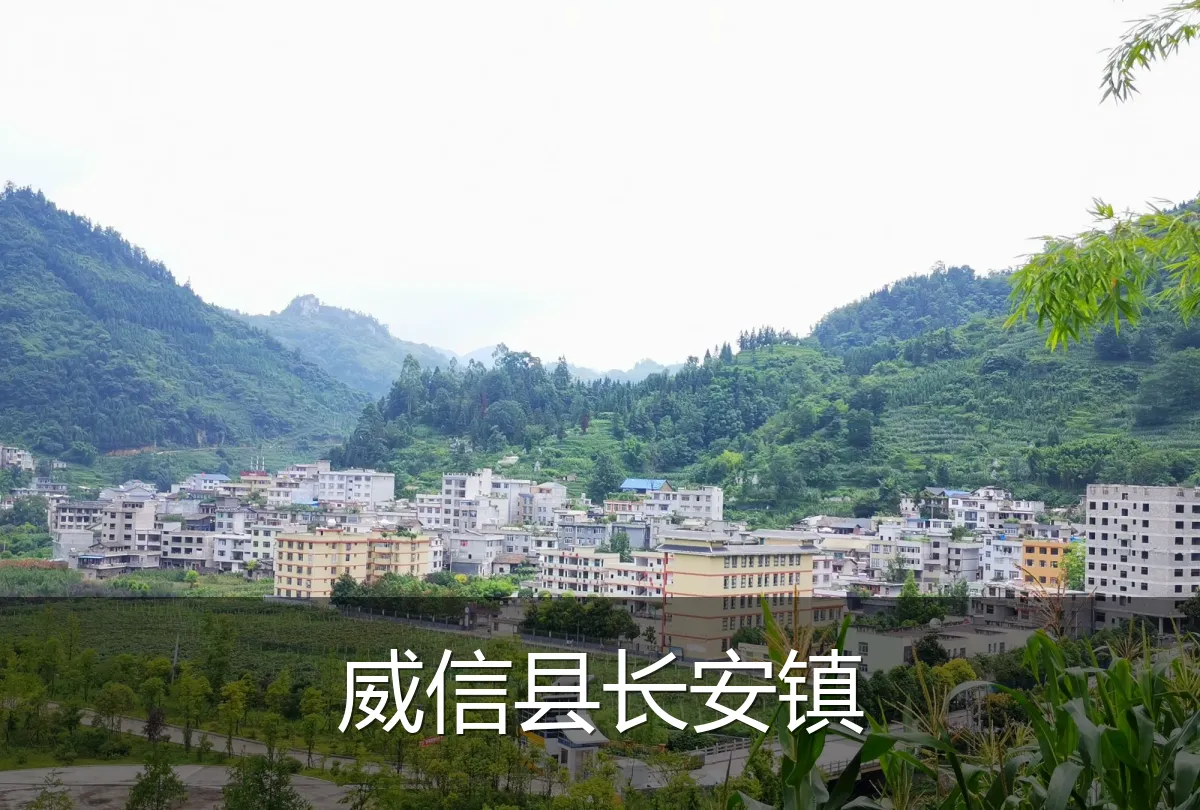 威信县长安镇